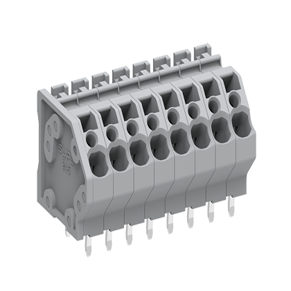 2452XX    Spring-Cage type