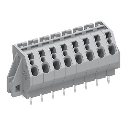 2453XX/020    Spring-Cage type