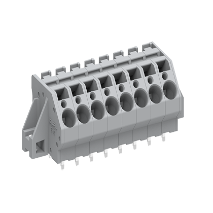 2463XX/020    Spring-Cage type