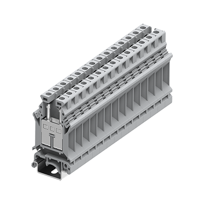 316901   Screw type